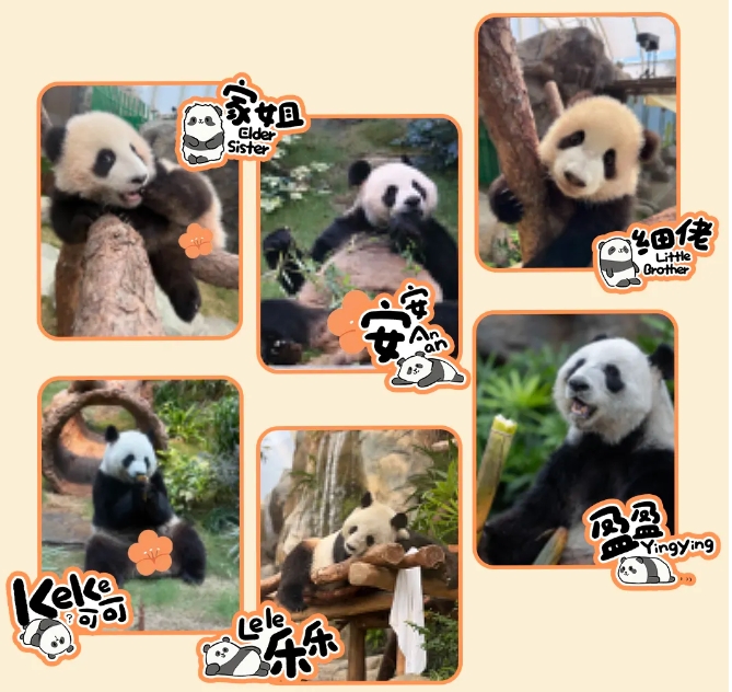 香港海洋公園