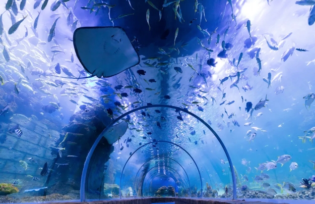 南海海洋親子樂園