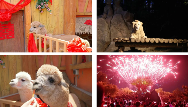 2025新密銀基動物王國動物介紹+門票價格+購票渠道+游玩時間