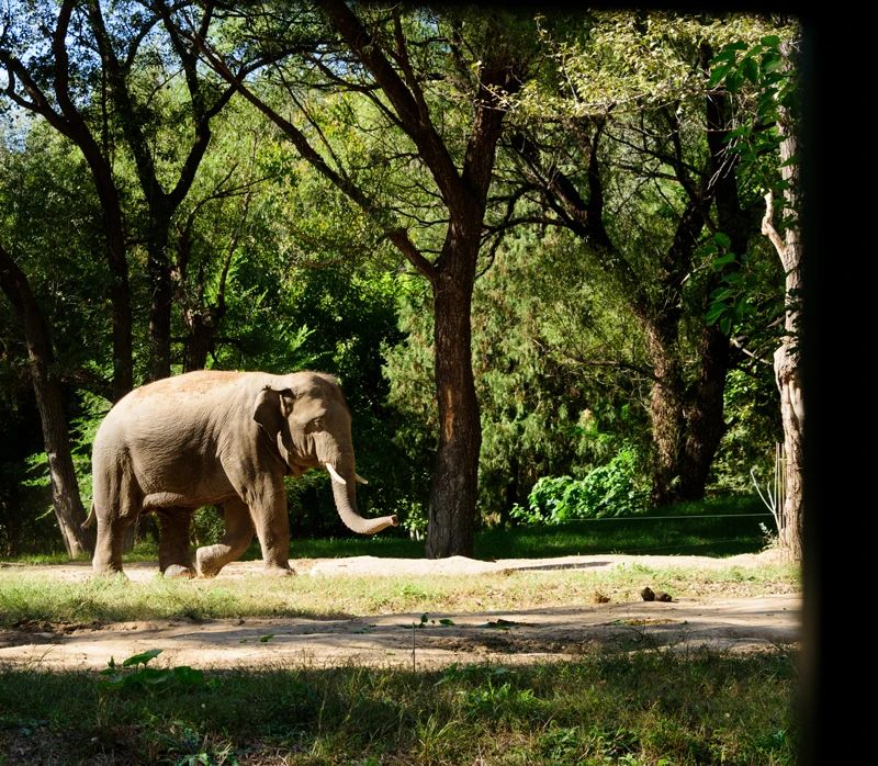 北京野生動物園