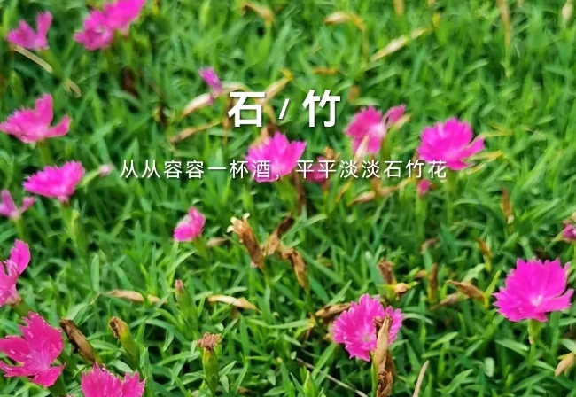 平頂山森林公園