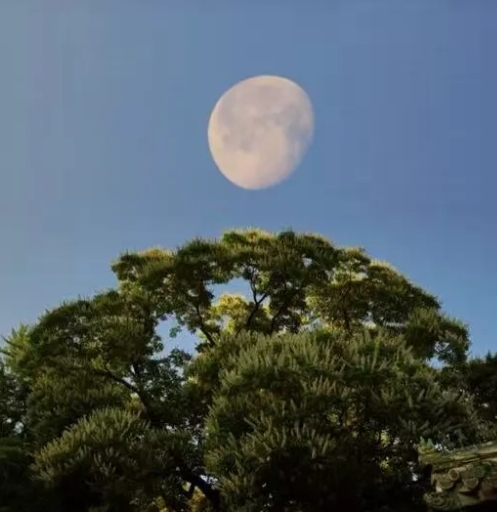 北京潭柘寺