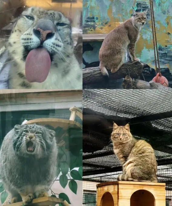 西寧野生動物園