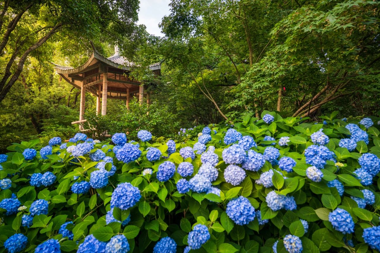 無錫黿頭渚門票