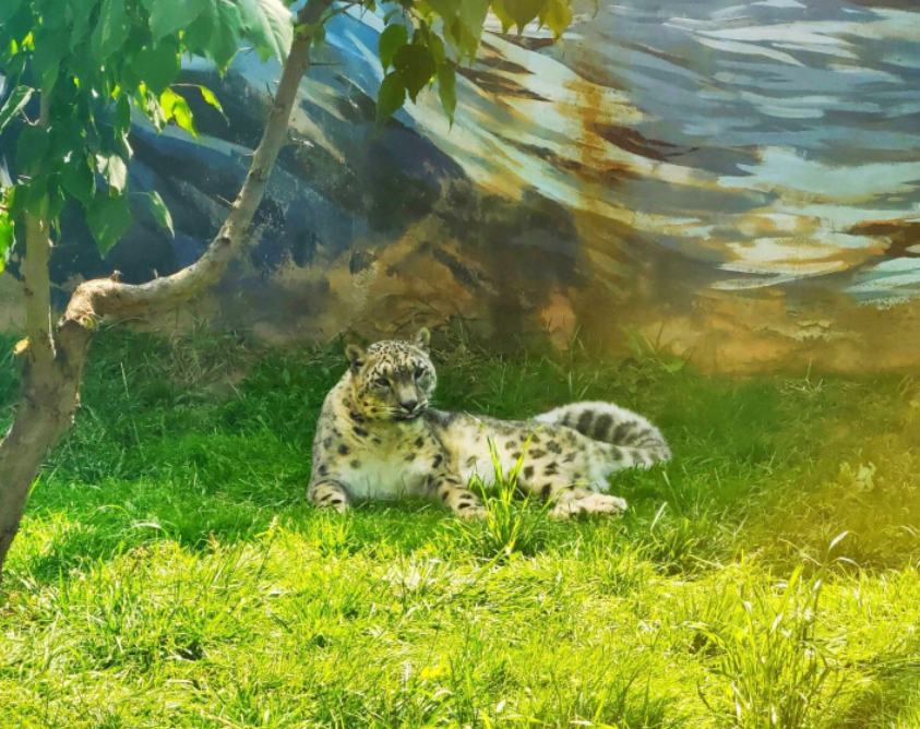 /uploads/image/2025/05/27/a48ef13f4f39d61b75eb4dd70f167598.png