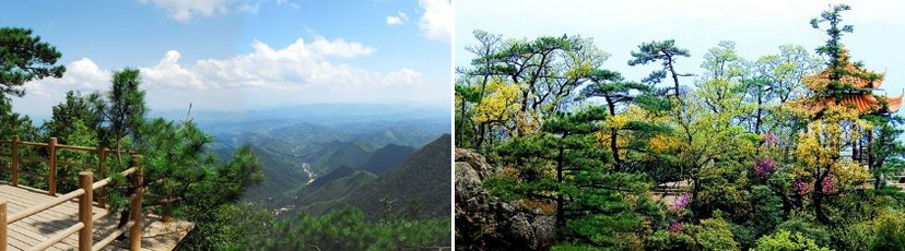 天目山景區(qū)