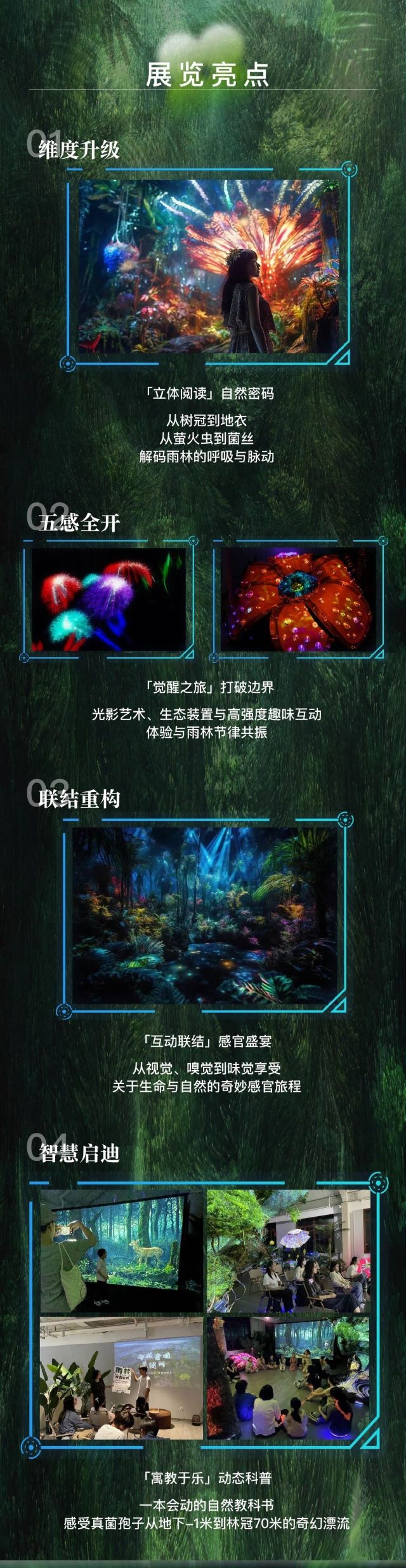 雨林之境展览2.jpg
