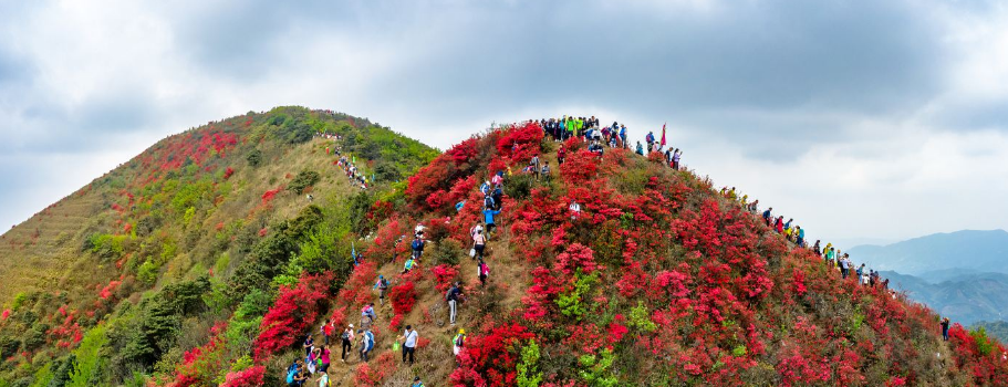 2025鞏義長壽山風(fēng)景區(qū)門票收費及優(yōu)待標(biāo)準(zhǔn)一覽(附地址+游玩路線+導(dǎo)覽圖+亮點簡介)