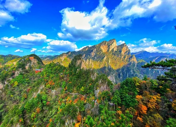 2025南陽旅游年票票價及收費明細(附辦理條件+購買入口+景點列表)