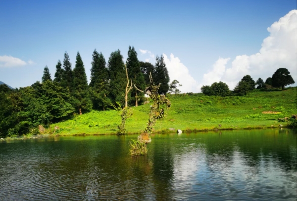 樂山黑竹溝