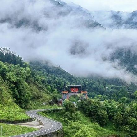 樂山黑竹溝