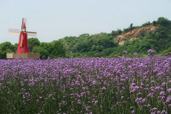 2025雪浪山生態(tài)園景區(qū)亮點(diǎn)+門(mén)票價(jià)格+優(yōu)惠標(biāo)準(zhǔn)+交通攻略