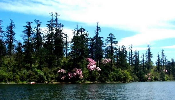 樂山黑竹溝