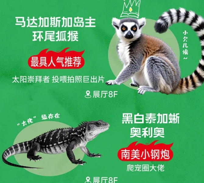 沈陽(yáng)龍之夢(mèng)動(dòng)物樂園