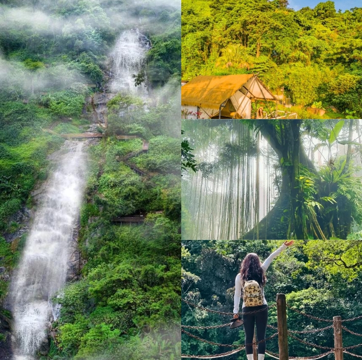 海南百花嶺