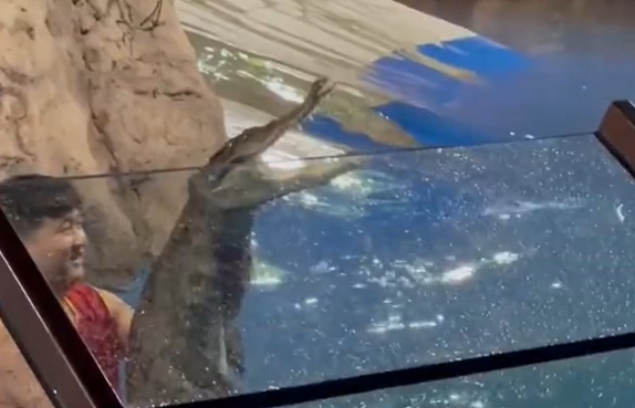 沈陽龍之夢動物樂園