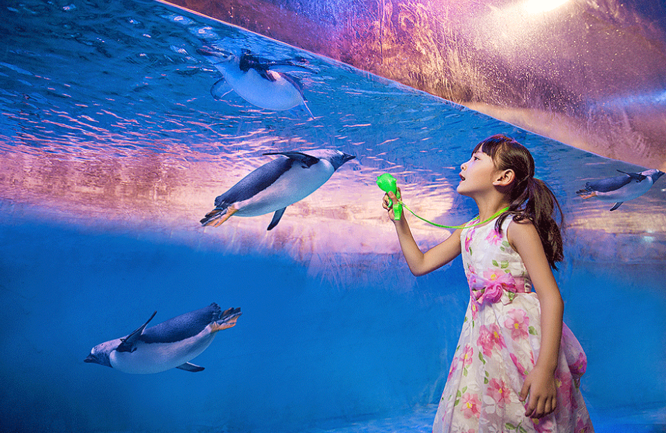成都海昌極地海洋公園