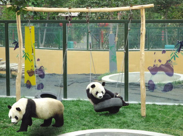 濰坊金寶樂園