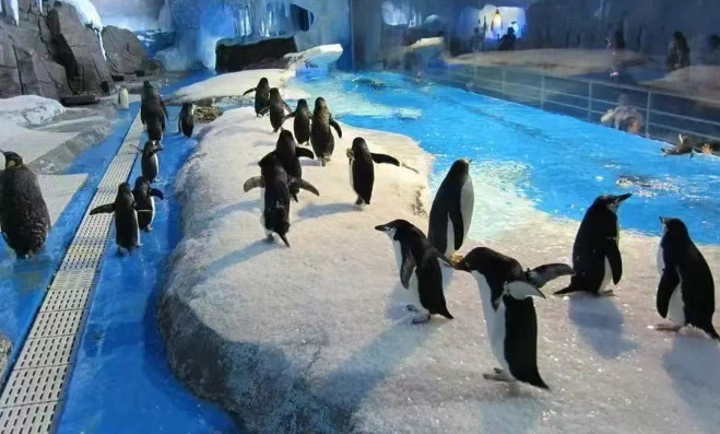 成都海昌極地海洋公園