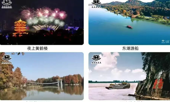 /uploads/image/2025/06/10/5c5ec8d5020c5e115710fcb60b91af9e.png