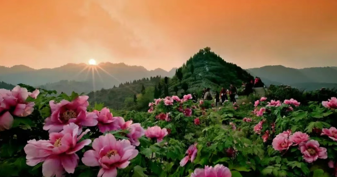 愷之峰旅游區(qū)