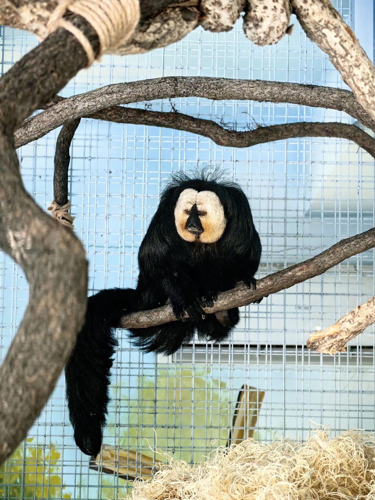 大連森林動(dòng)物園