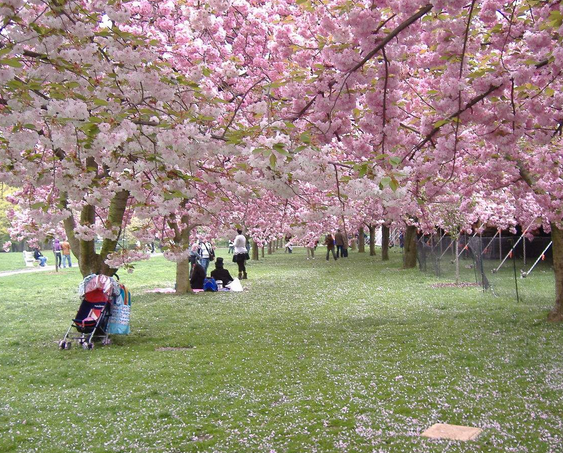 /uploads/image/2025/06/12/c3152570ca18e825f371732d5c93e37d.png
