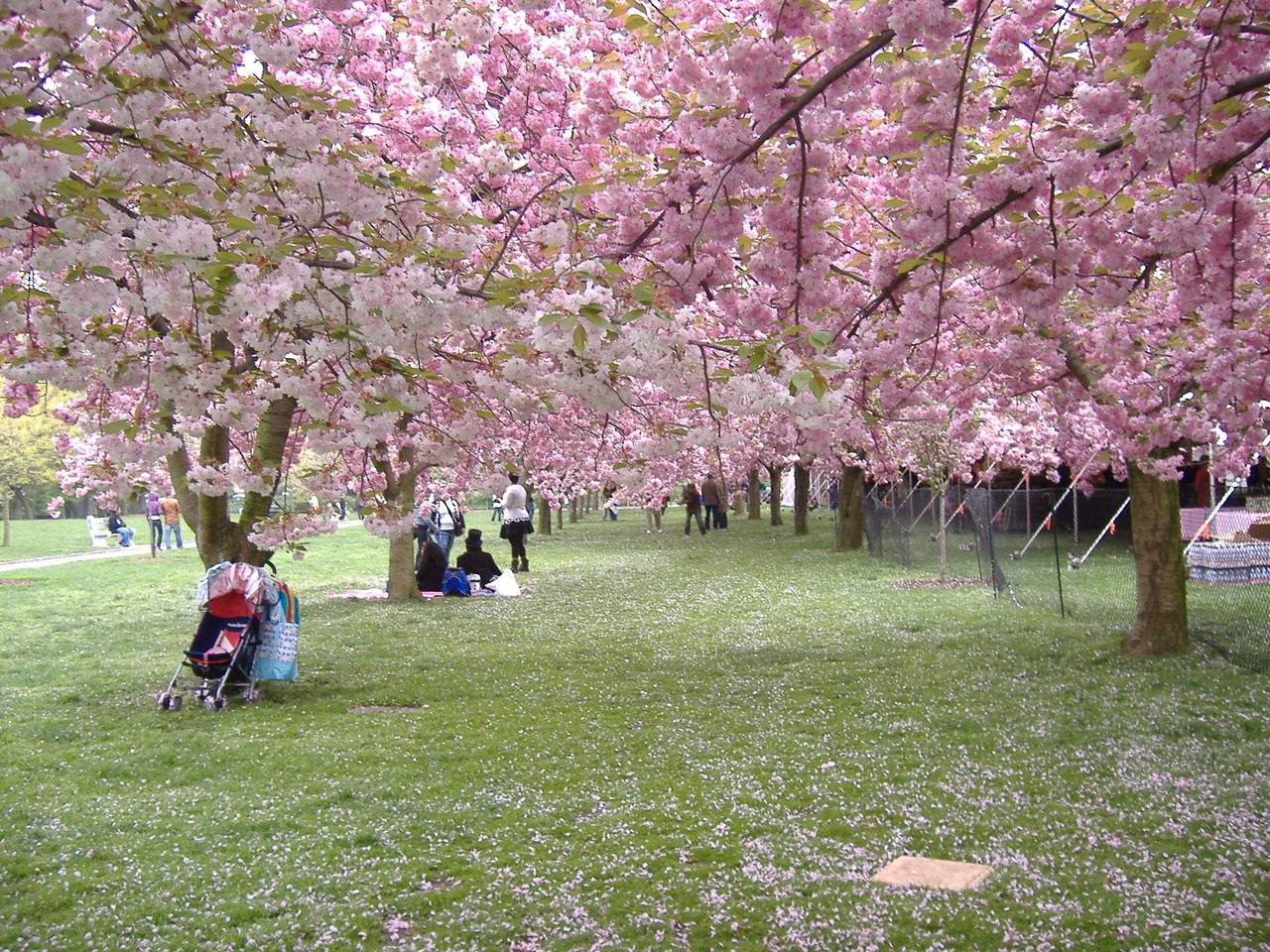 /uploads/image/2025/06/12/b2c640e36a5acb833388d3f6f0ff4108.jpg