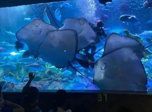 南京海底世界