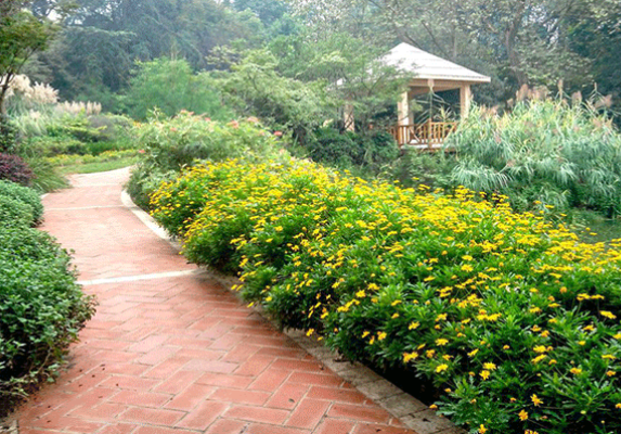 /uploads/image/2025/06/12/1162d62d652b2dc3d1b9f67523ada40e.png