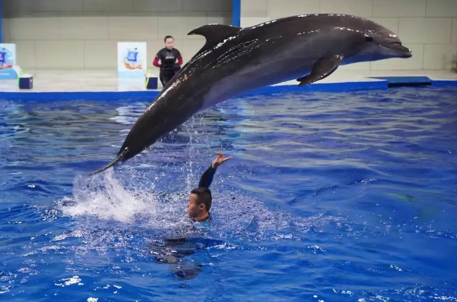 日照海洋公園
