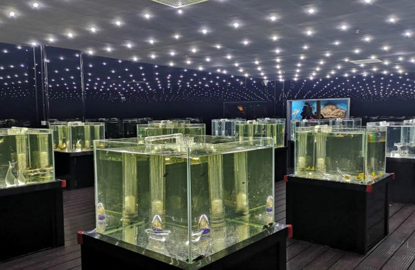 邯鄲海洋世界