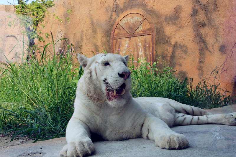 龍沙動植物園