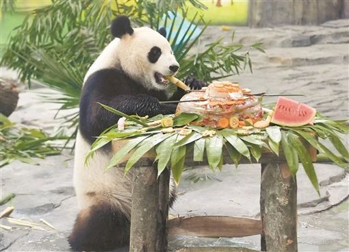 鳳凰中華大熊貓苑