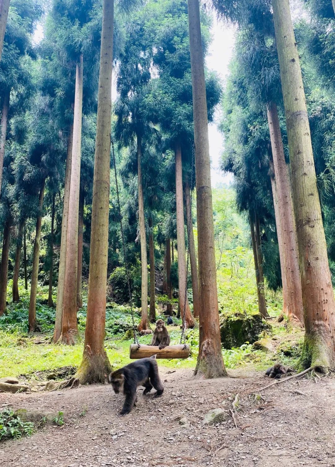 神瀑溝風(fēng)景區(qū)