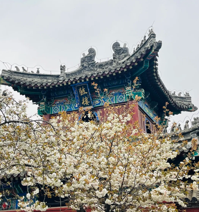 洛陽白馬寺