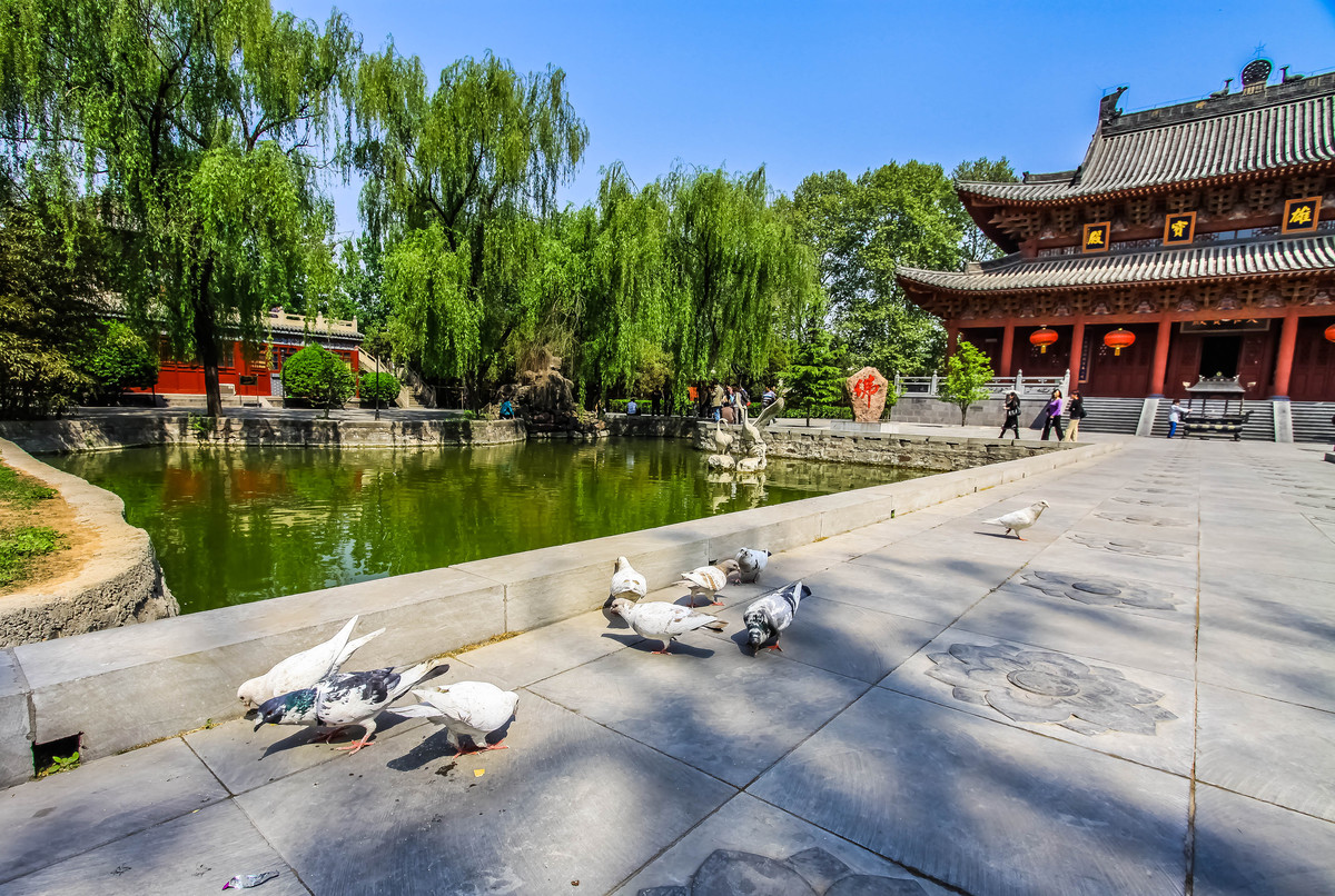 洛陽(yáng)白馬寺