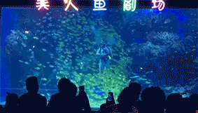 邯鄲海洋世界