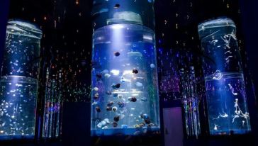 石家莊海洋公園