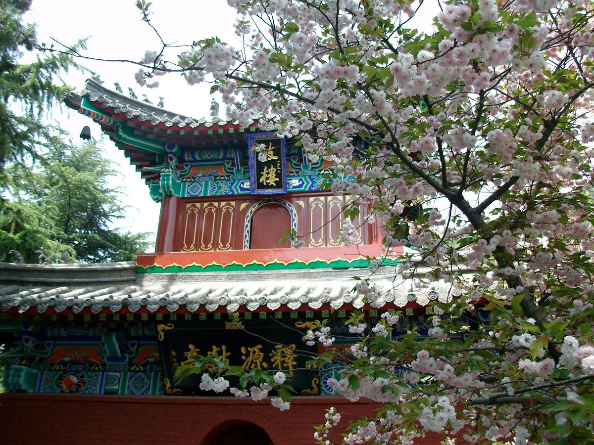 洛陽(yáng)白馬寺