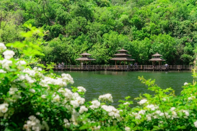 濟(jì)南九如山風(fēng)景區(qū)