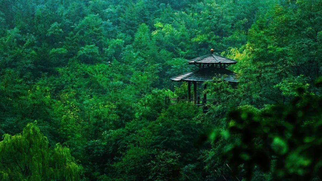 2025濟南九如山風(fēng)景區(qū)景點推薦+門票價格+具體位置+交通信息