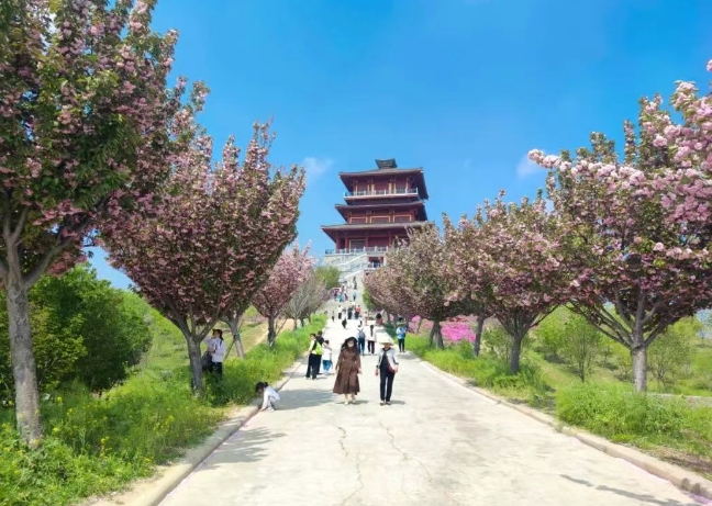 滎陽(yáng)古柏渡