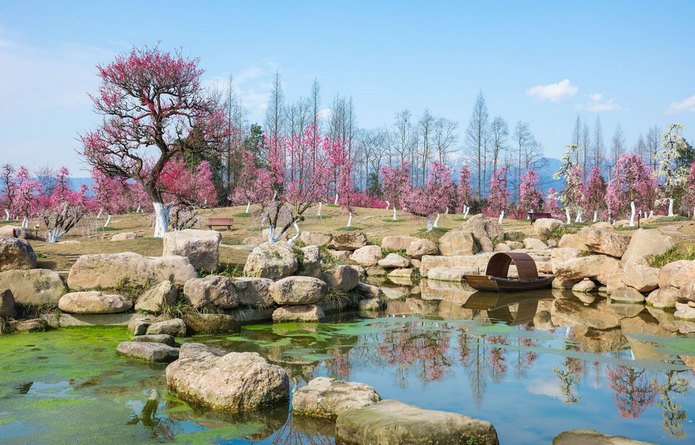 成都問(wèn)花村