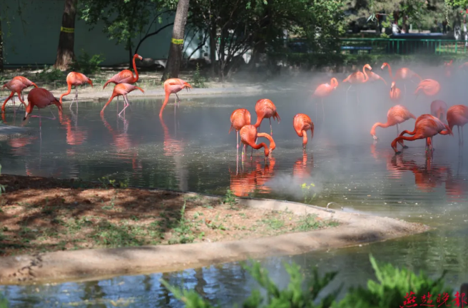 石家莊動(dòng)物園
