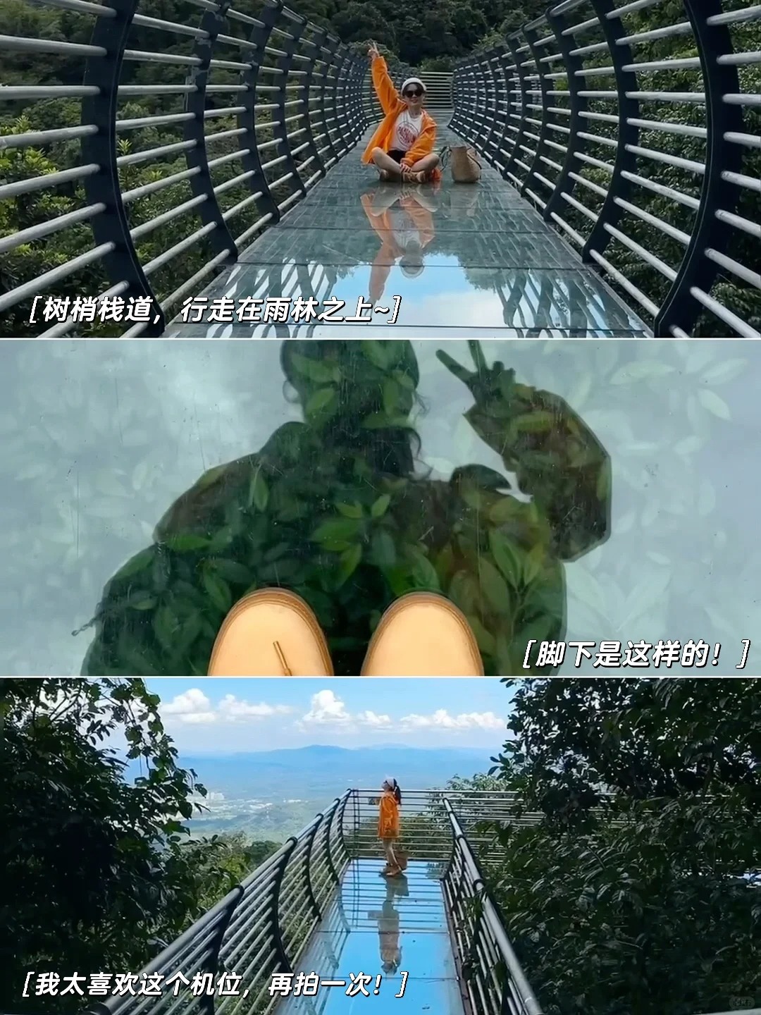 海南百花岭