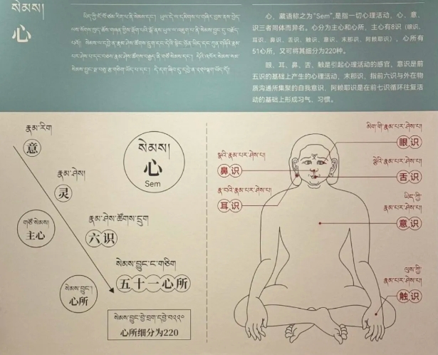 青海藏文化博物院