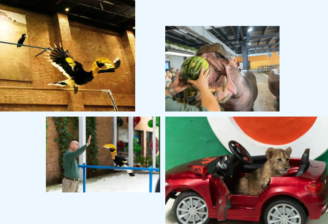 /uploads/image/2025/06/24/f4f925b276cc7344345f8b254449366d.png