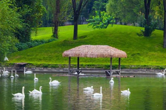北京野生動(dòng)物園