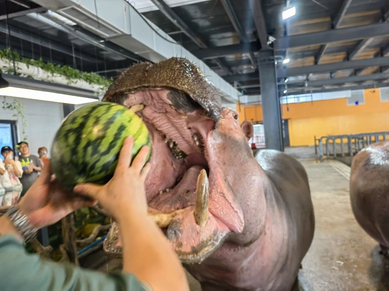 北京野生動物園